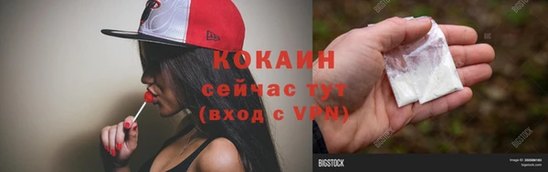 2c-b Гусев