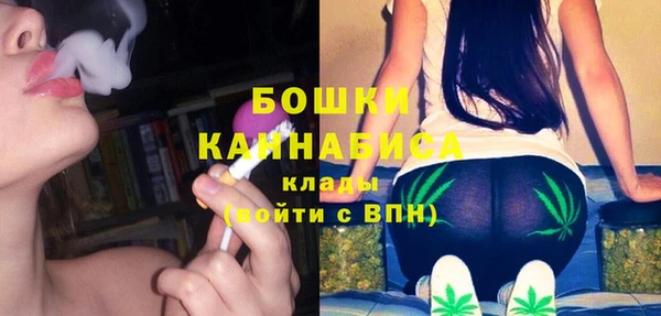 меф Няндома