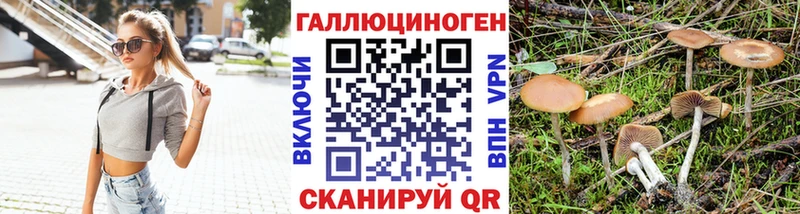 купить закладку  Обоянь  Псилоцибиновые грибы ЛСД 